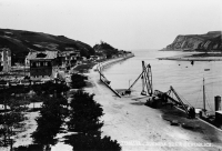 arbustaingo-garabia-zumaia-fototeka